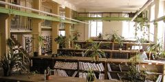 Knihovna v této podobě sloužila medikům. To, jak vypadá dnes, je výsledkem rekonstrukce z roku 2005.